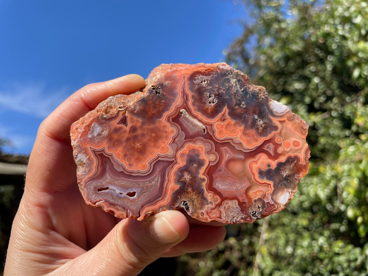 Malawi agate 96 mm – in-hand size reference, substantial specimen, multi-chambered fortification banding, Ngabu, Malawi