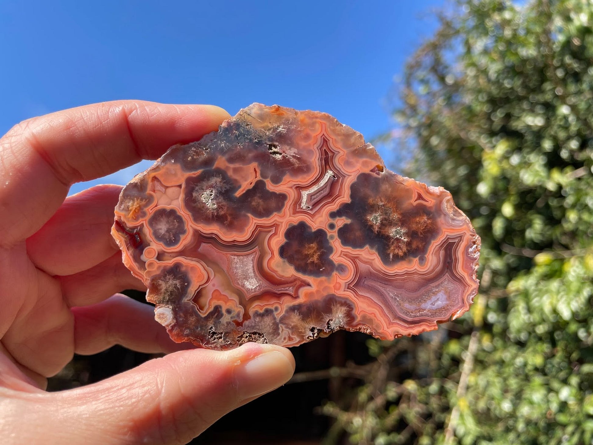 Malawi agate 96 mm – in-hand size reference, substantial specimen, multi-chambered with floater, Ngabu, Malawi