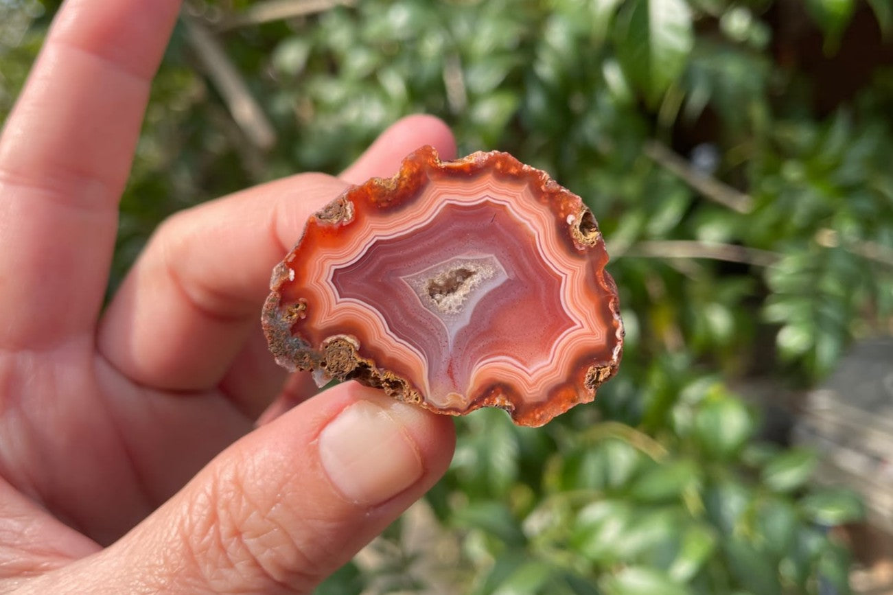 Malawi agate 40 mm – in-hand size reference, carnelian red banding, scalloped outer edge, Ngabu