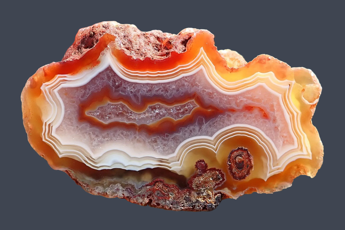 Malawi agate 50 mm – close-up face, floater and fortification banding in deep carnelian and terracotta, Ngabu origin