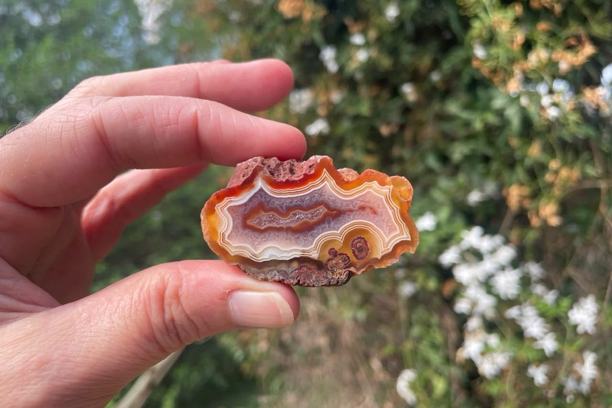 Malawi agate 50 mm – size reference in hand, scalloped banding and eye formation, Ngabu Malawi