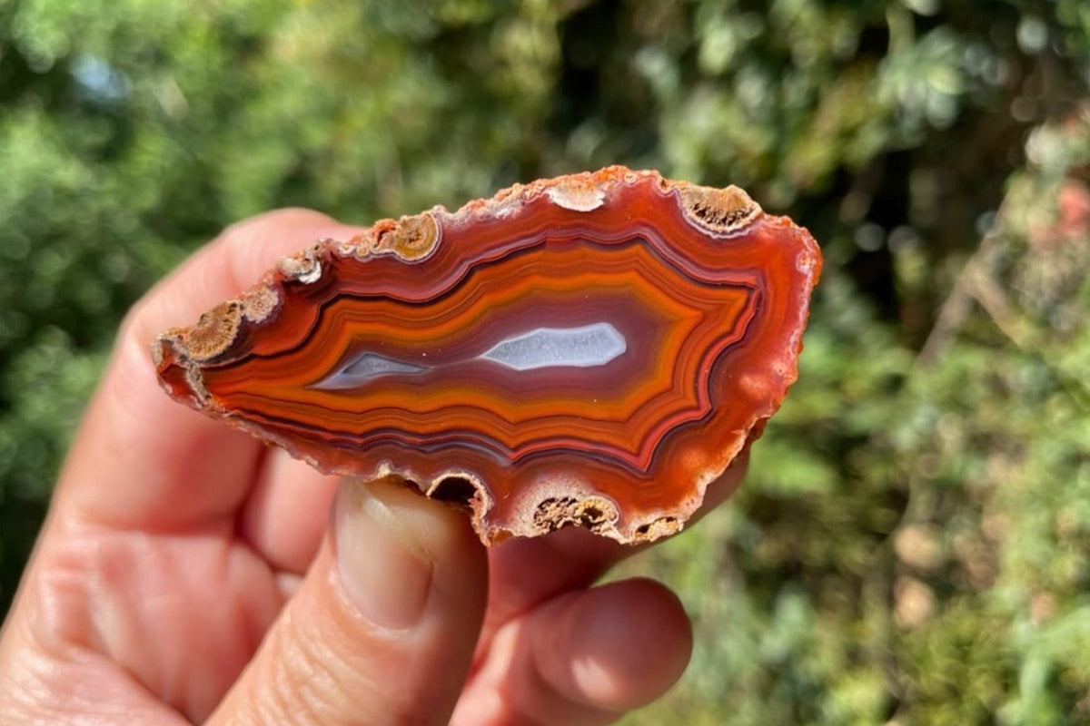 Malawi agate 57 mm, held between fingers for scale, showing orange-red fortification banding and pale crystalline centres on the polished face, Ngabu.