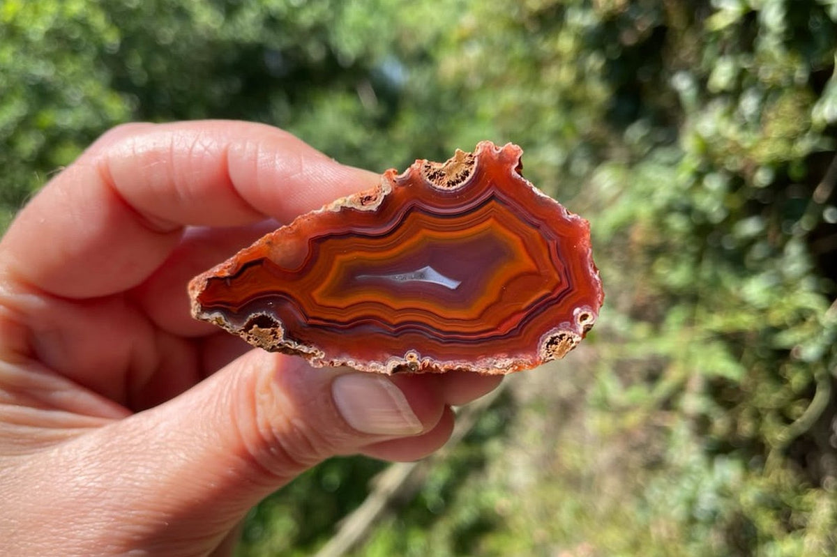 Malawi agate 55 mm, held between fingers for scale, showing the angular orange-red bands, purple-grey centre and pale crystalline section, Ngabu.