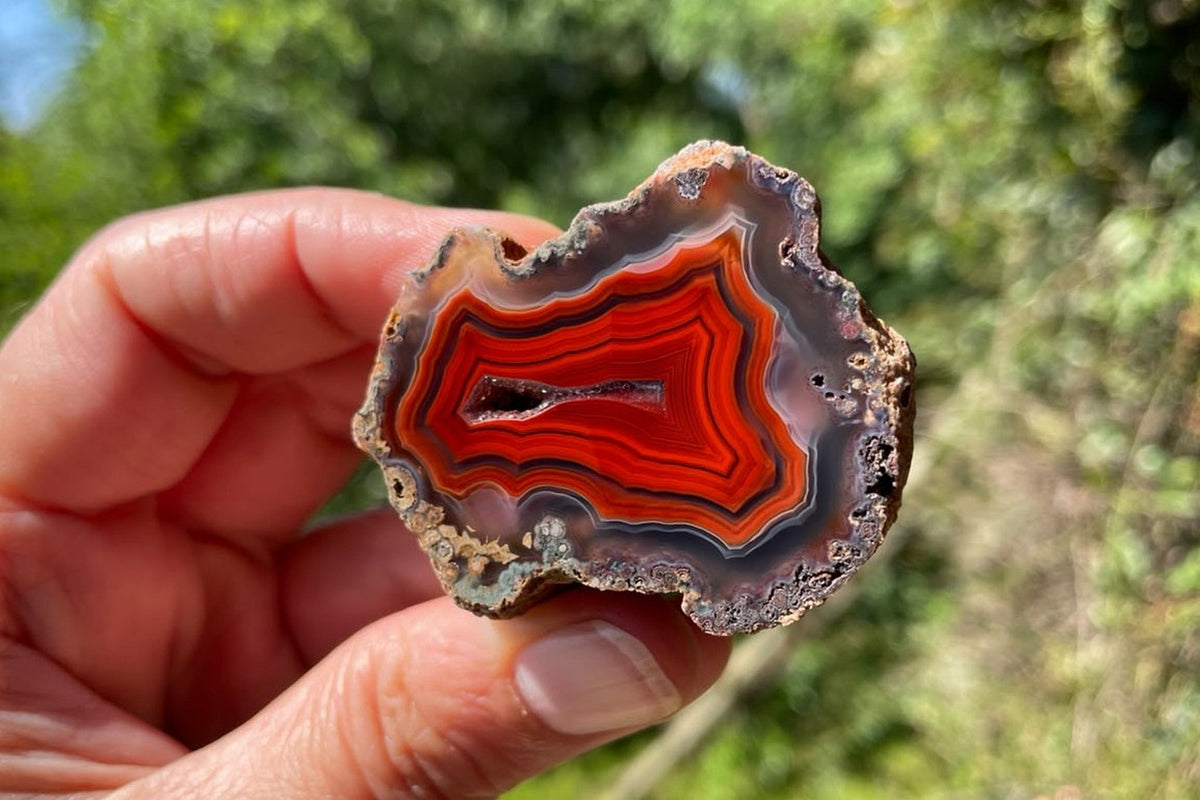 Malawi agate 42 mm held between fingers for scale, showing red-orange fortification banding, grey-purple outer ghost bands and a central drusy vug, Ngabu, Malawi.