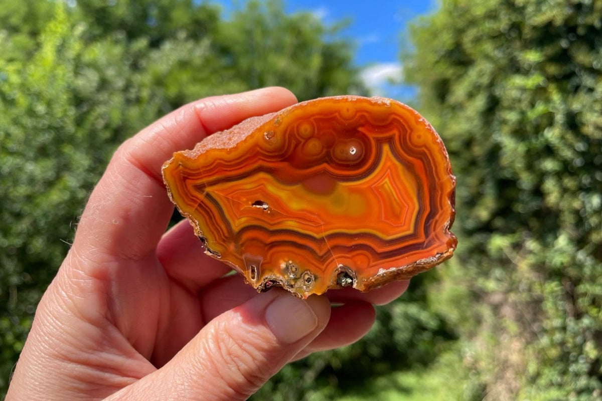 Malawi agate 74 mm – held in hand for scale, showing the full polished face with eyes across the upper edge and orange and golden yellow fortification banding.