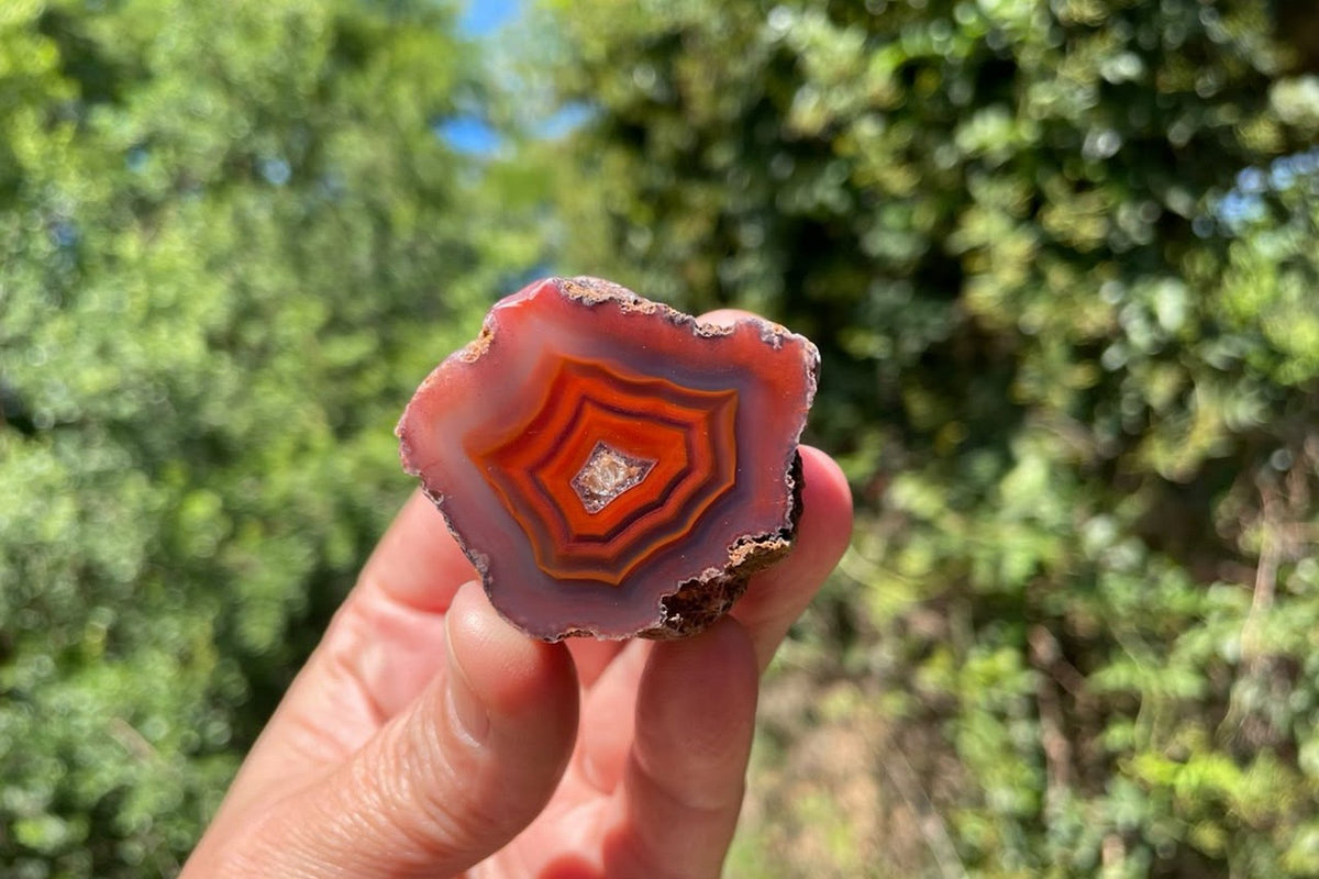 Malawi agate 41 mm – held in hand for scale, showing red-orange fortification and shadow banding within mauve-grey agate from Ngabu.
