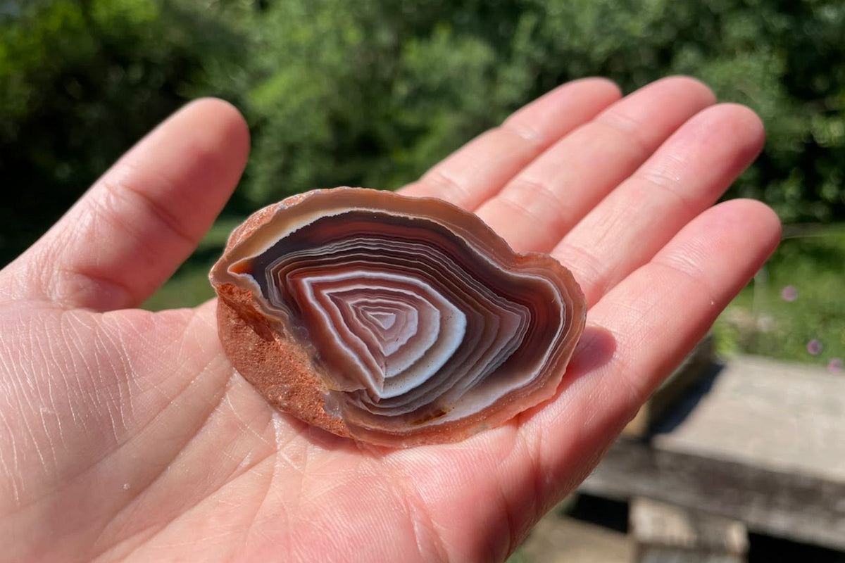 Mozambique agate 55 mm resting on an open palm for scale, showing the hand-lapped face with angular white and pink bands and darker mauve-grey outer layers.