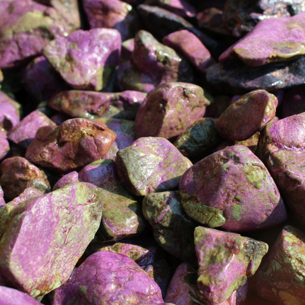 Wet natural stichtite rough specimens in serpentine matrix, Kaapsehoop, South Africa — bulk lot showing pink to purple colour range, wet finish | SKU STICHRsml