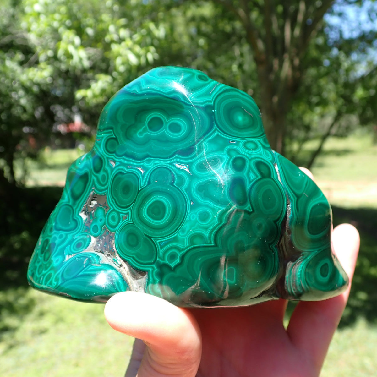 Malachite polished freeform showing concentric light and dark green rings across curved surfaces, Democratic Republic of the Congo