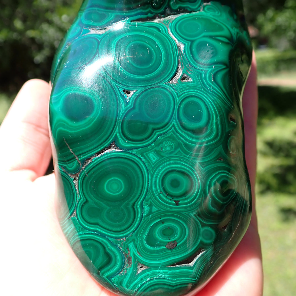 Malachite polished freeform held in hand for scale, showing concentric green rings and flowing bands