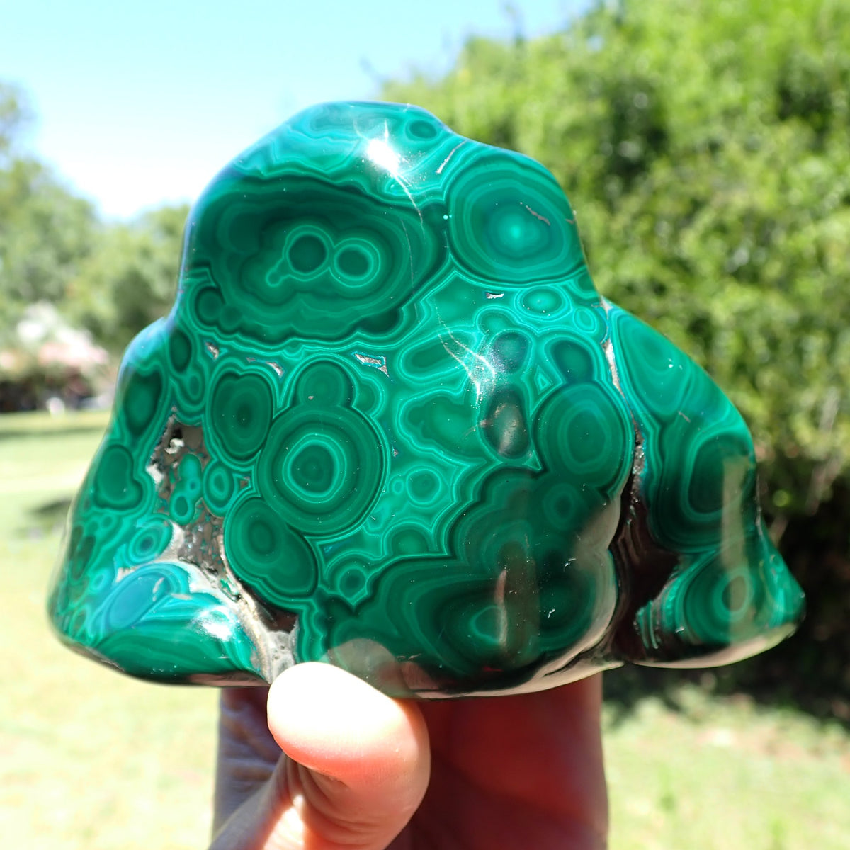 Malachite polished freeform showing alternating light and deep green bands around rounded centres