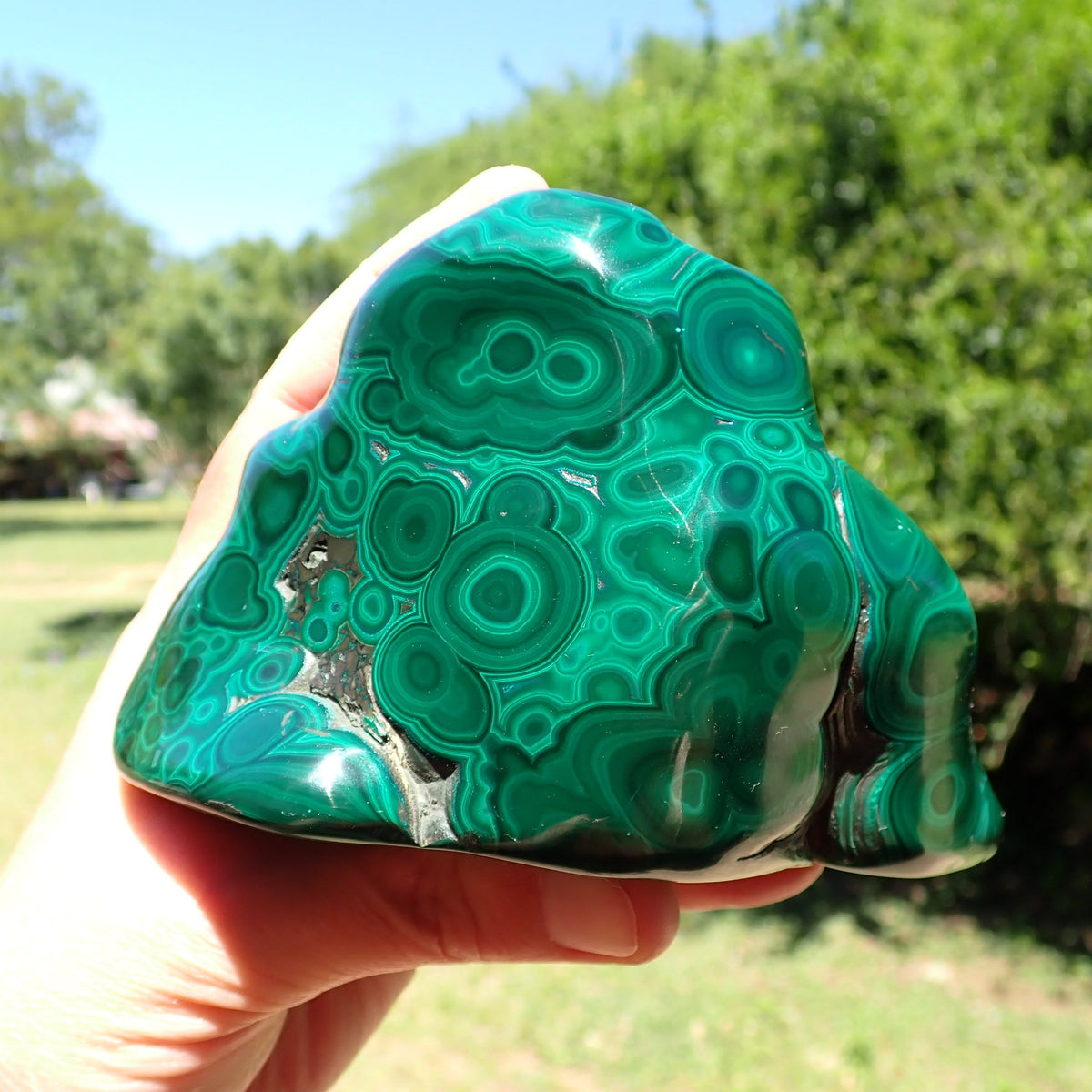 Malachite polished freeform close-up showing overlapping concentric rings and exposed host rock