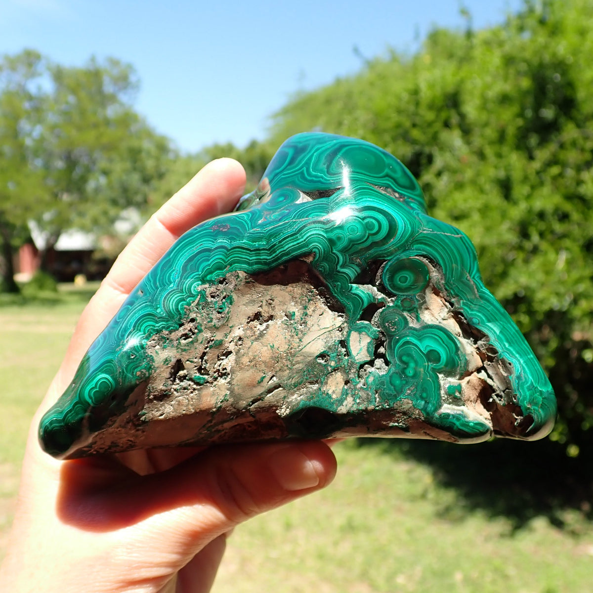 Malachite polished surface detail showing fine concentric light and dark green bands, Democratic Republic of the Congo