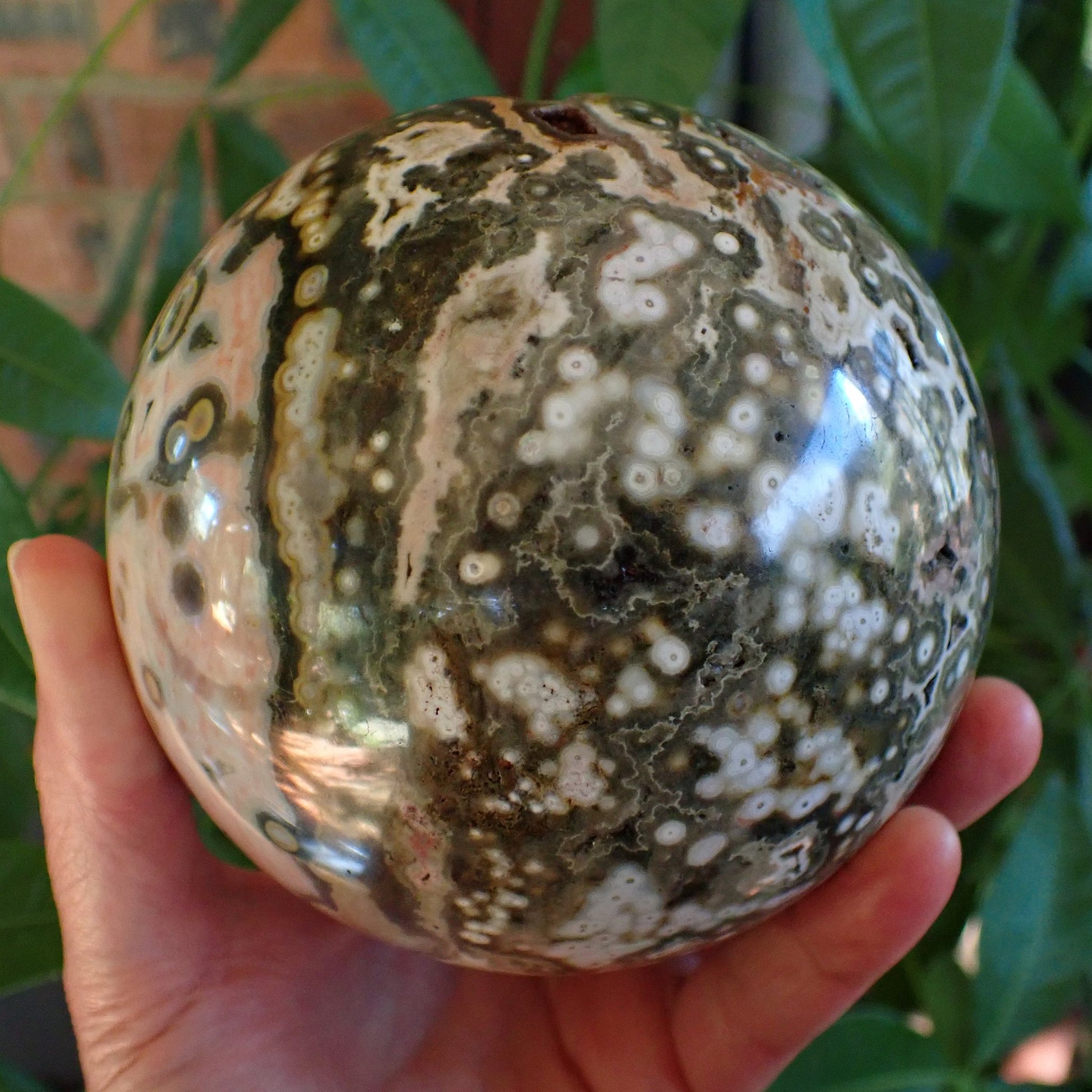 Ocean Jasper (Orbicular) Polished Sphere 115mm – vug face alternate angle, olive-green and cream zones with open cavity, 8th Vein Marovato Madagascar | SKU OM00004