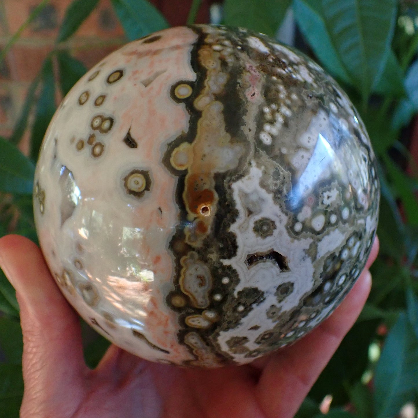 Ocean Jasper (Orbicular) Polished Sphere 115mm – dark olive-green dominant face, dense white-centred orbs across full surface, 8th Vein Marovato Madagascar | SKU OM00004