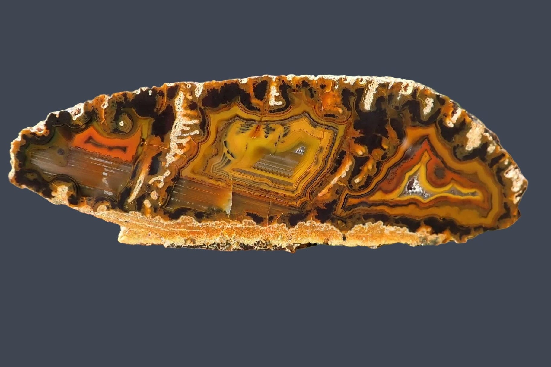 Lilangabi agate 117mm – face view, multi-chambered structure, fortification banding, waterlines, scalloped band edges, sard-orange palette | SKU LIL00014