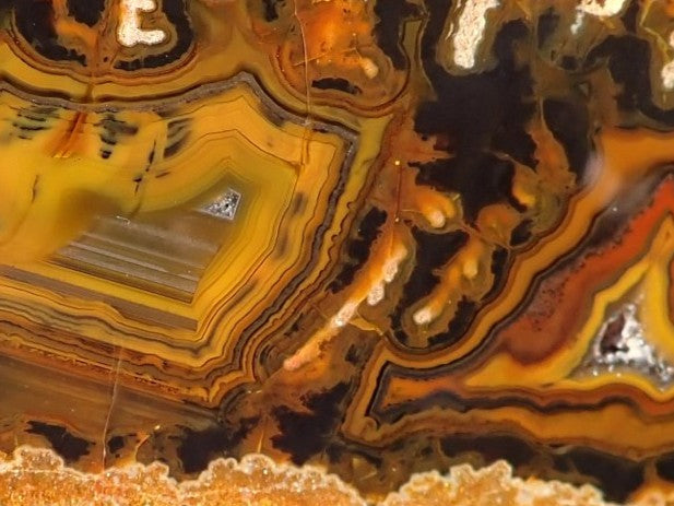 Lilangabi agate 117mm – close-up, fortification banding detail, waterlines, sard-orange and brown-black contrast | SKU LIL00014