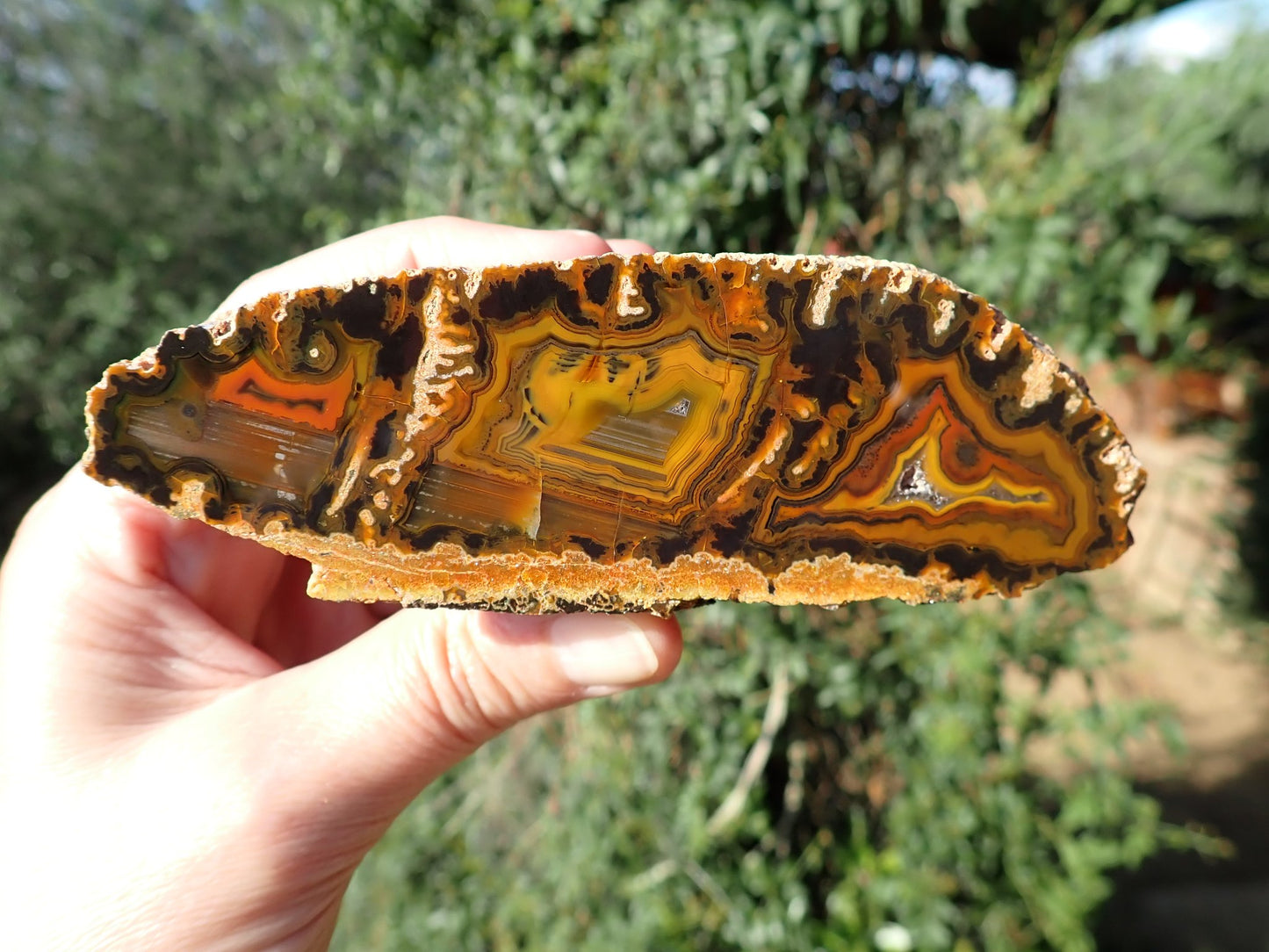 In-hand Lilangabi agate 117mm – full face, multi-chambered structure, waterlines, scalloped banding | SKU LIL00014