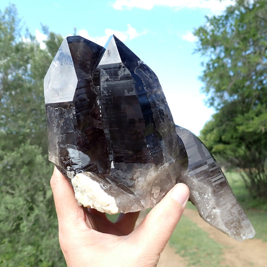 Smoky quartz cluster from Zomba, Malawi, showing two prominent crystal terminations, dark prismatic faces and a pale base.