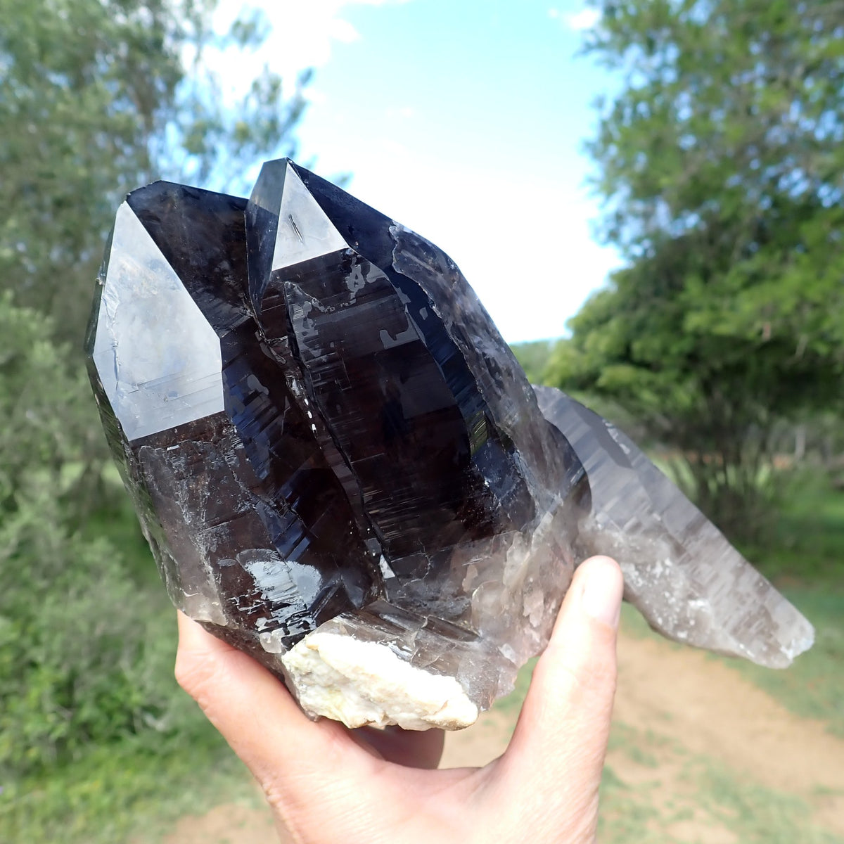 Smoky quartz cluster from Zomba, Malawi, upright in hand with broad reflective termination faces and deep smoky-grey crystal bodies.