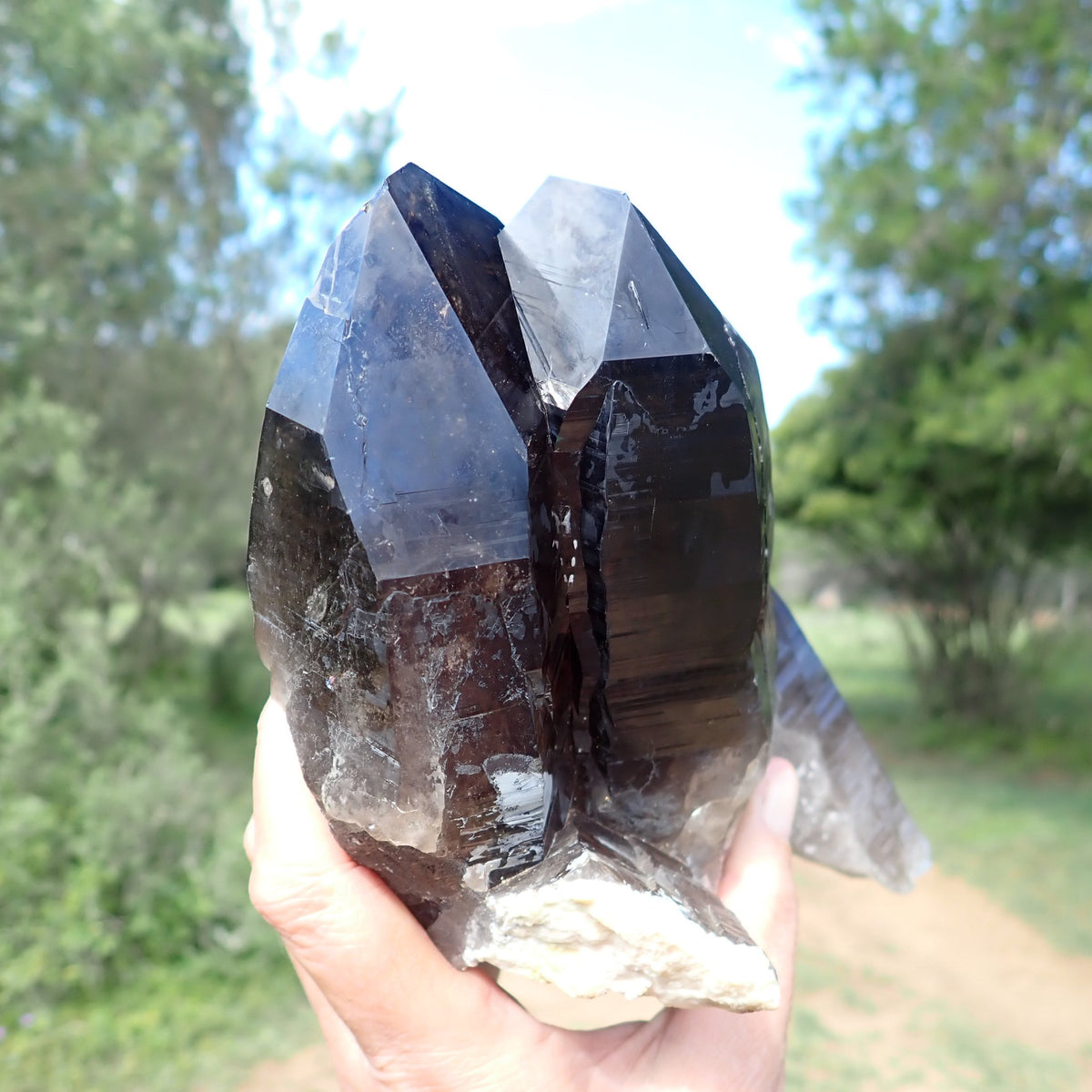 Smoky quartz cluster from Zomba, Malawi, upright in hand with broad reflective termination faces and deep smoky-grey crystal bodies.
