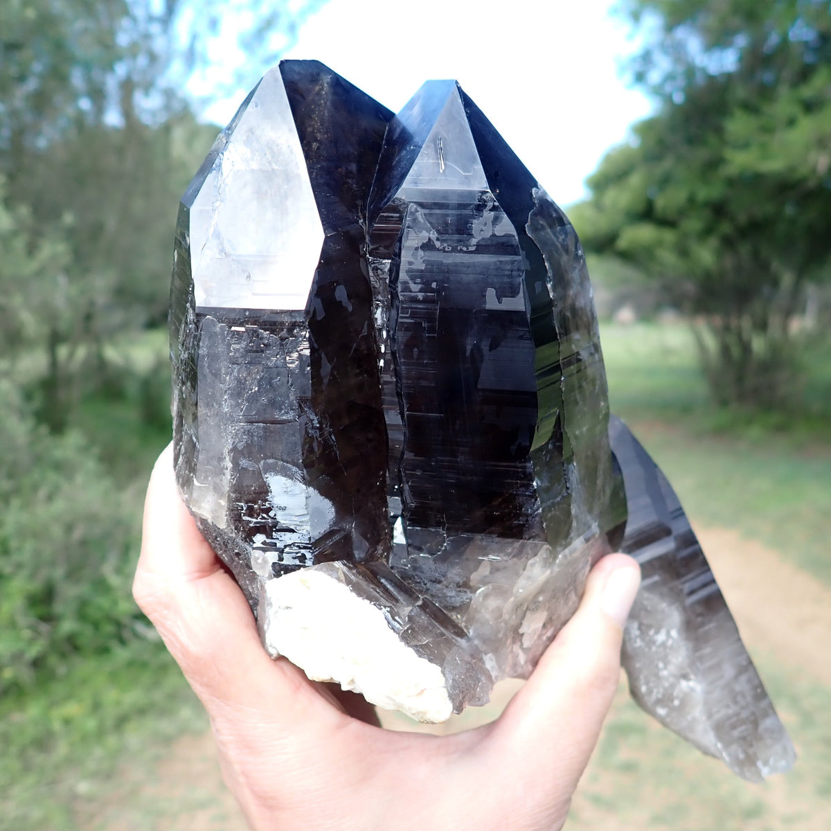 Smoky quartz cluster from Zomba, Malawi, reverse angle showing a tall dark crystal and intersecting lighter points with horizontal growth striations.