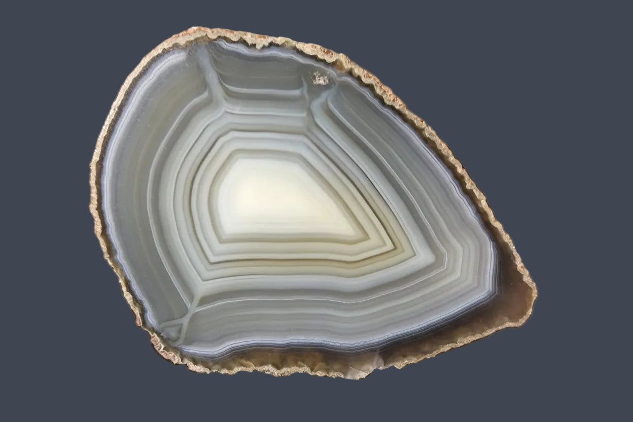 polished South African agate half nodule 91mm – face view, smooth concentric banding, blue-grey and cream palette, natural rind, natural sunlight | SKU SA00001