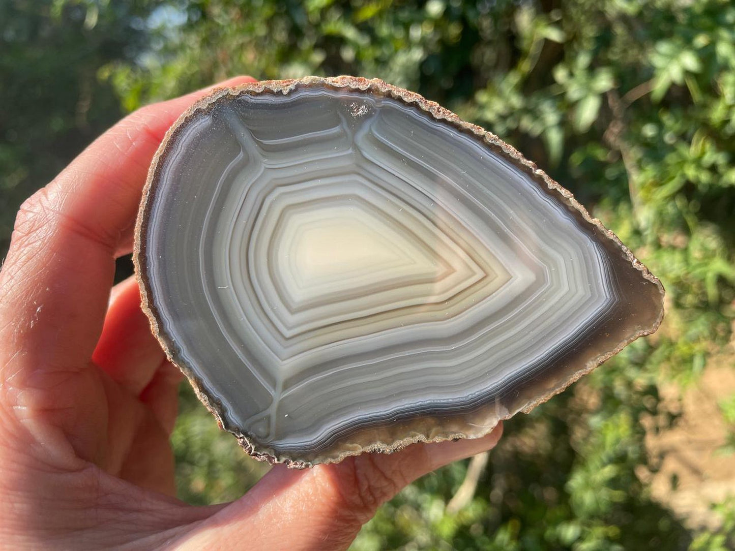 polished South African agate half nodule 91mm – in-hand view showing scale and form, concentric banding, natural iron-oxide rind, natural sunlight | SKU SA00001