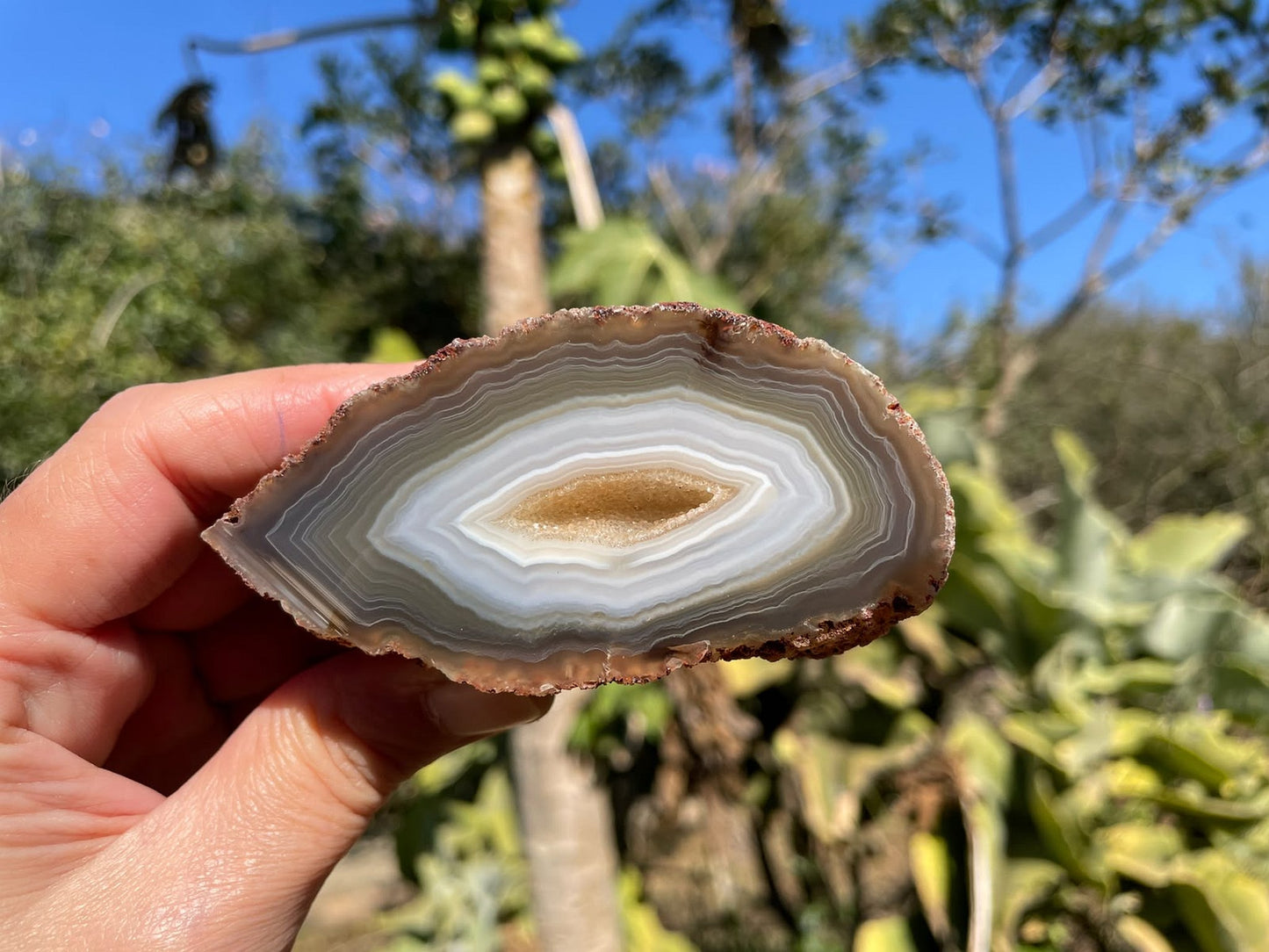 South African agate 87 mm – in-hand size reference, drusy vug, concentric banding, natural sunlight