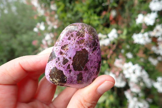 Stichtite-Serpentine freeform 43–77 mm – in hand, deep purple Stichtite with serpentine , Barberton South Africa