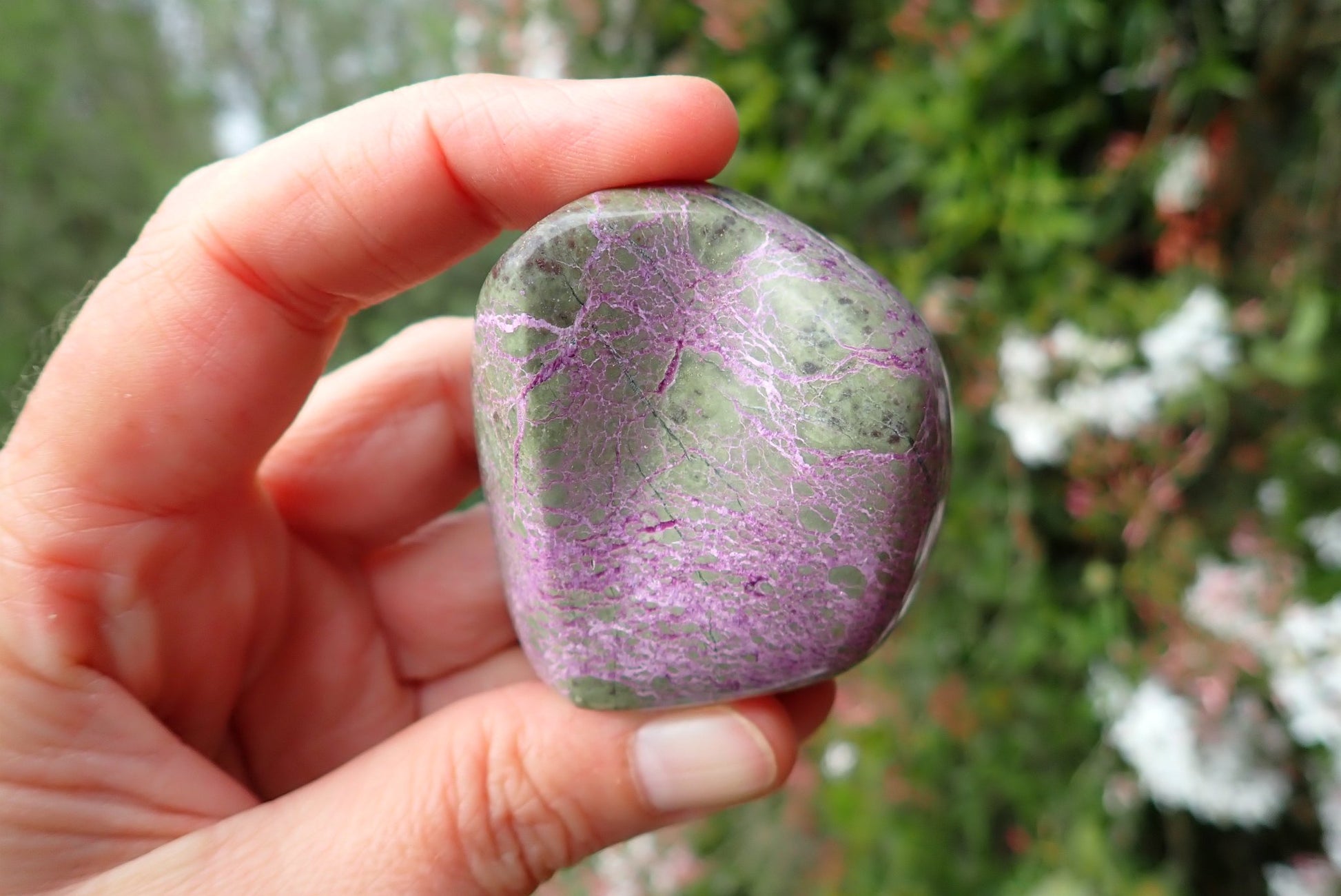 Stichtite-Serpentine freeform 43–77 mm – in hand, purple Stichtite with green Serpentine, Barberton South Africa