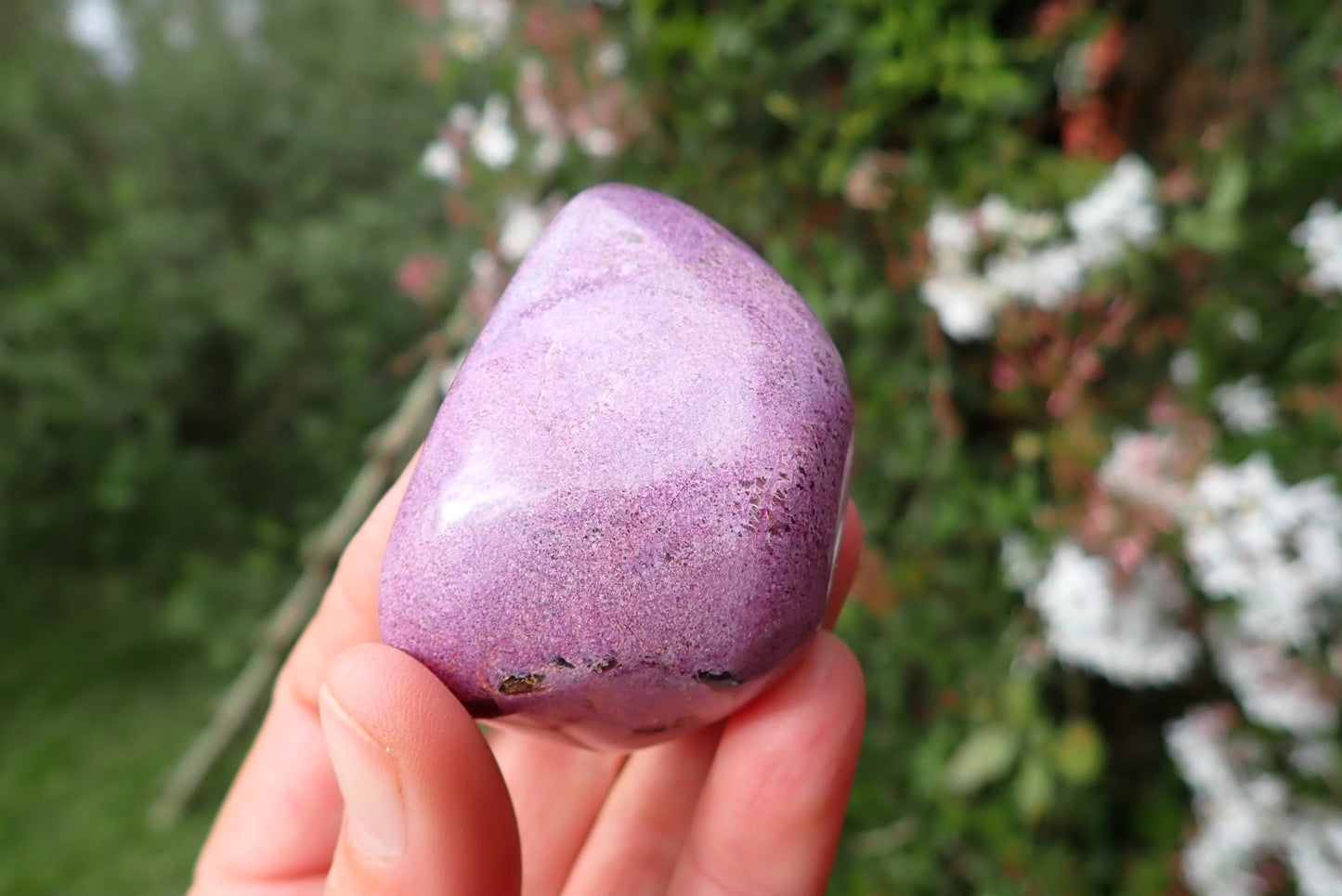 Stichtite-Serpentine freeform 43–77 mm – in hand, dominany stichtite purple, Barberton South Africa