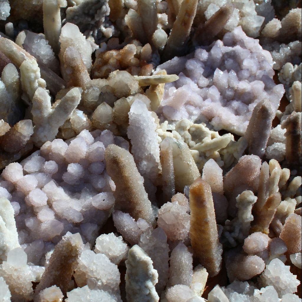 Wholesale white cactus quartz South Africa – close-up of dense finger formations with drusy coverage, soft lilac tinge and icy white crystal tips, variable formation types | SKU SPQW
