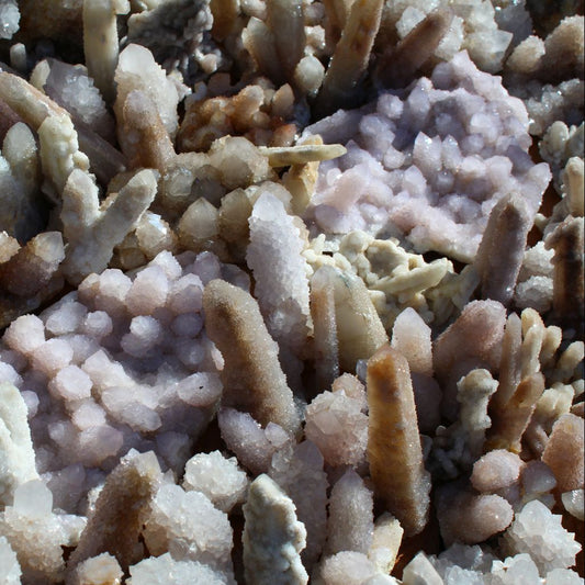 Wholesale white cactus quartz South Africa – close-up of dense finger formations with drusy coverage, soft lilac tinge and icy white crystal tips, variable formation types | SKU SPQW