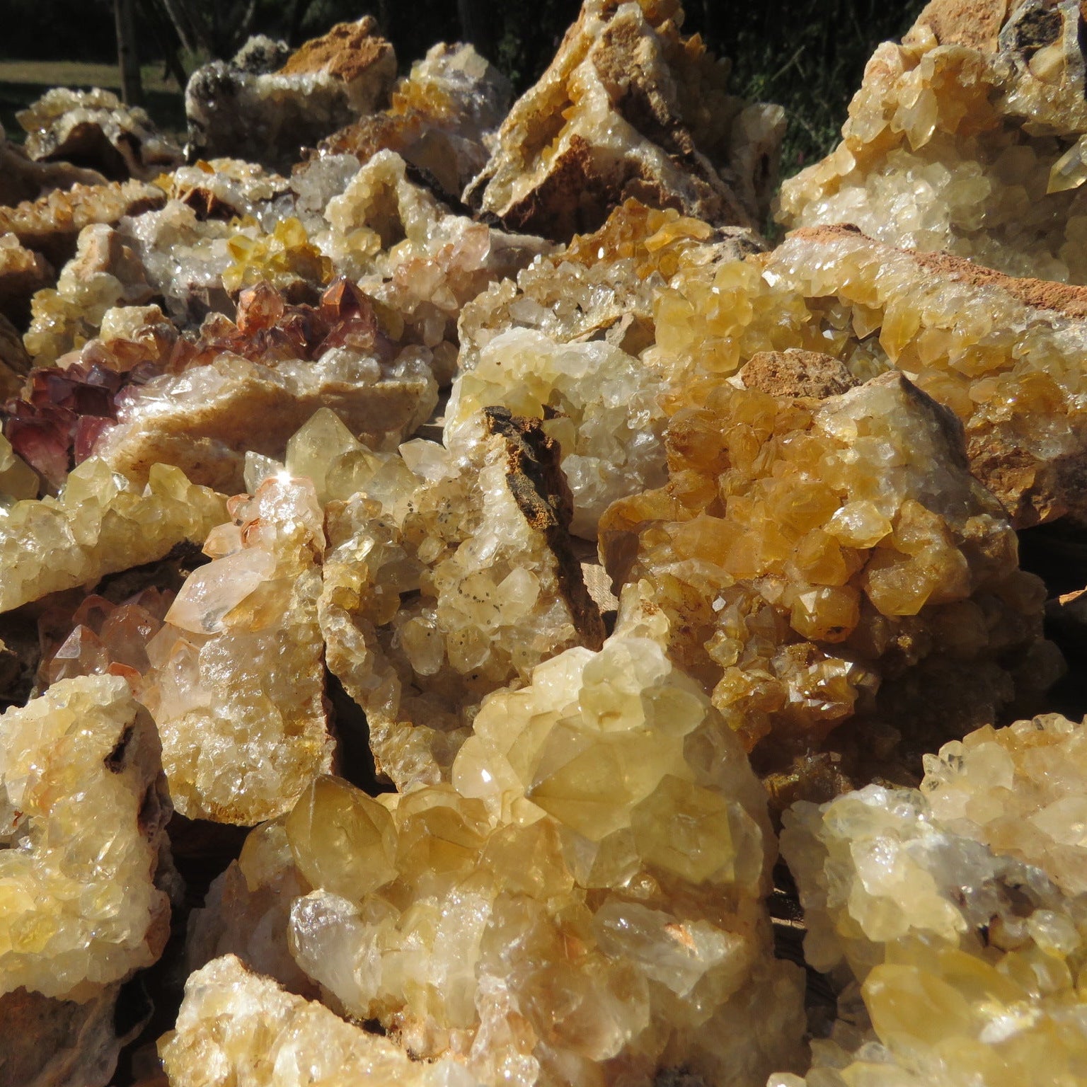 Wholesale limonite quartz Zambia – bulk lot close-up showing intense golden-yellow limonite druzy plates, compact globular crystal formations, deep amber iron oxide coating visible | SKU LIMkg
