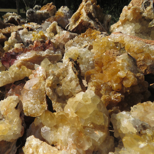 Wholesale limonite quartz Zambia – bulk lot close-up showing intense golden-yellow limonite druzy plates, compact globular crystal formations, deep amber iron oxide coating visible | SKU LIMkg