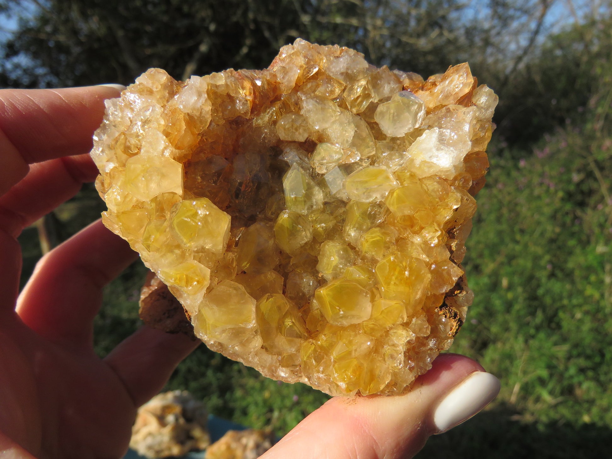 Wholesale limonite quartz Zambia – in-hand specimen showing pale cream to deep golden druzy coverage, nice vug formation, natural unpolished finish | SKU LIMkg