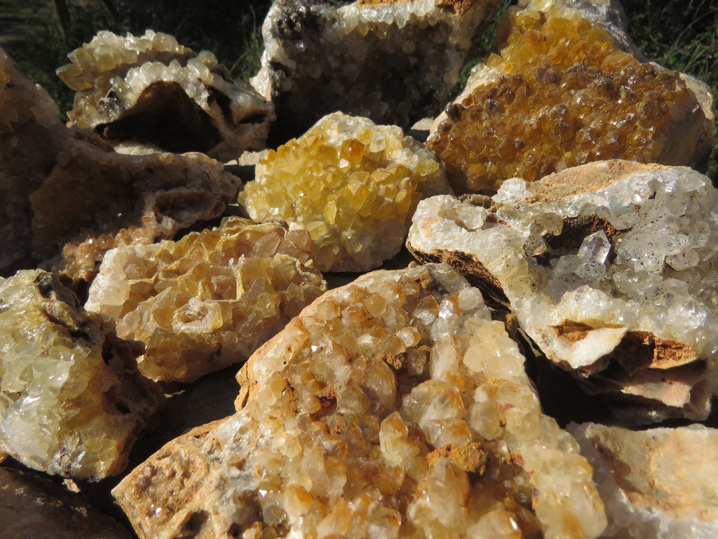 Wholesale limonite quartz Zambia – bulk lot spread showing large druzy plate formations, golden-yellow to cream colour range, open cavity and compact druzy types, natural condition | SKU LIMkg