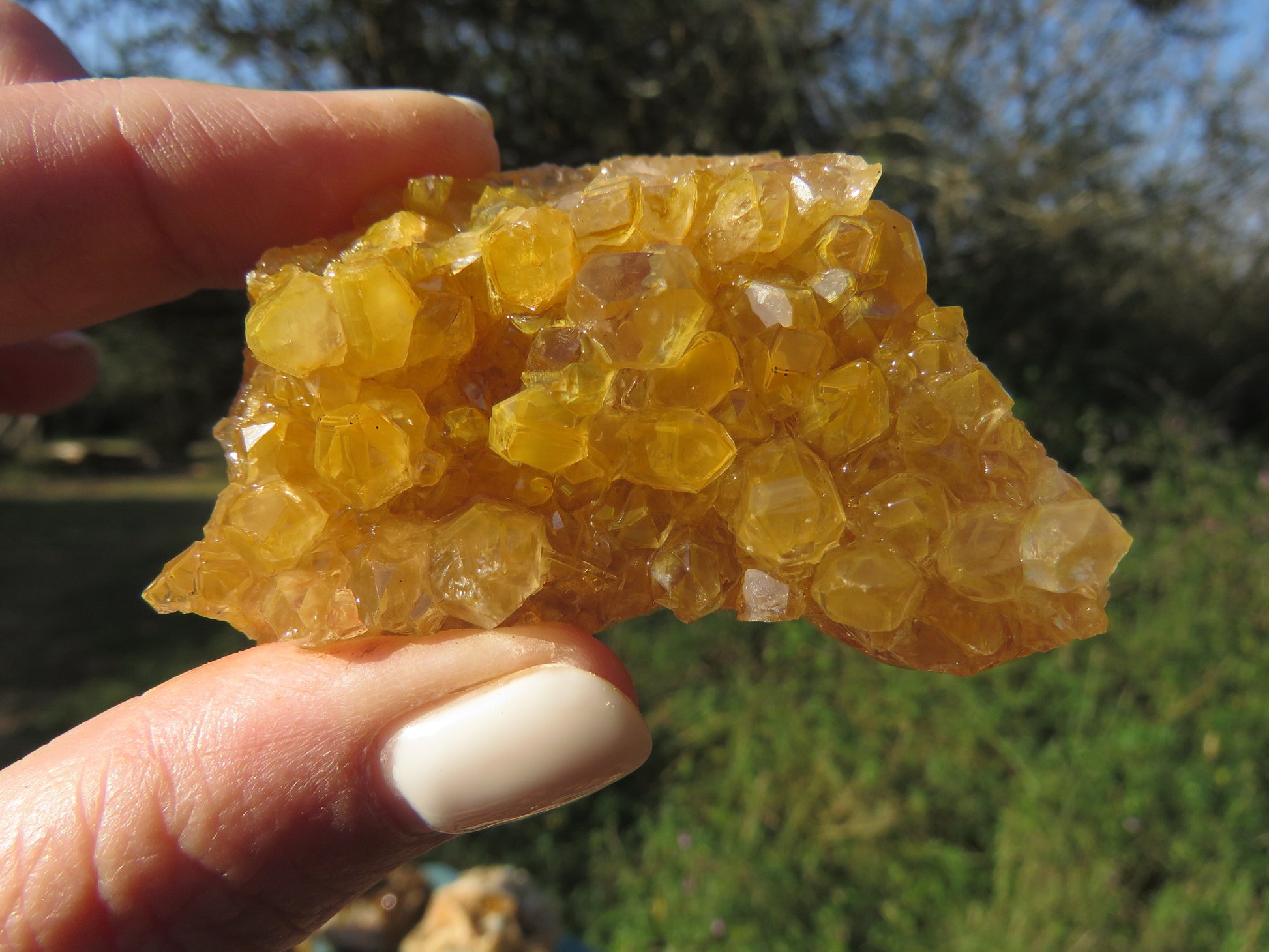 Wholesale limonite quartz Zambia – in-hand specimen showing golden druzy coverage, natural unpolished condition | SKU LIMkg