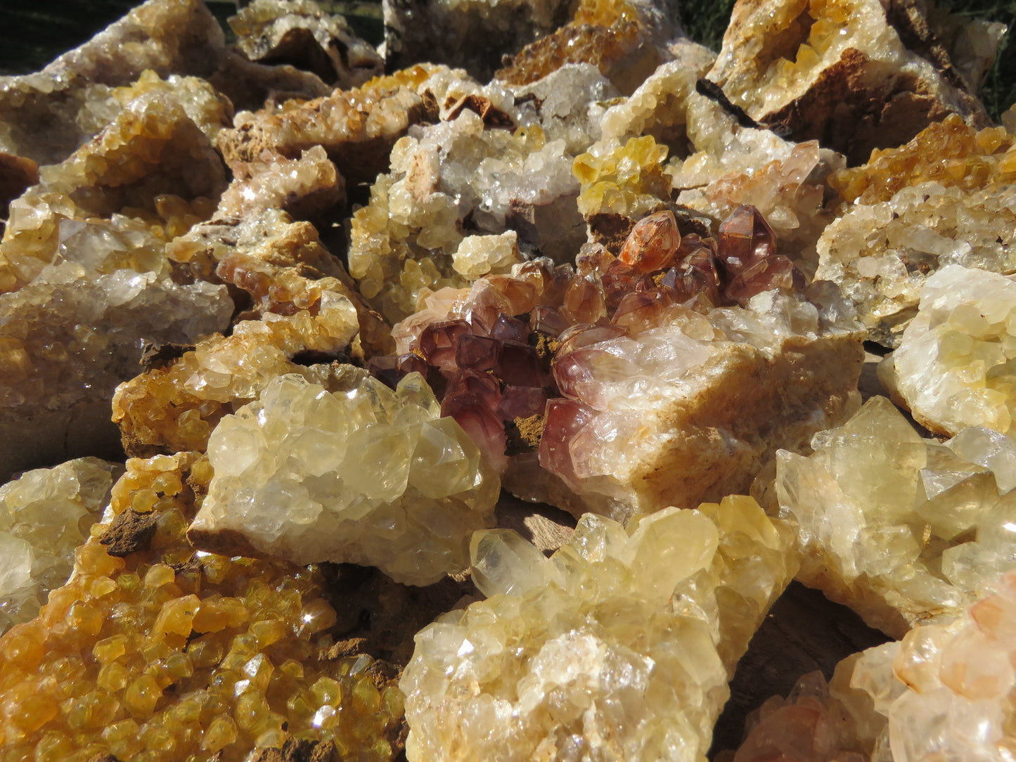 Wholesale limonite quartz Zambia – bulk lot close-up showing formation variety, golden-yellow and white druzy plates, red phantom inclusion visible, variable limonite intensity | SKU LIMkg