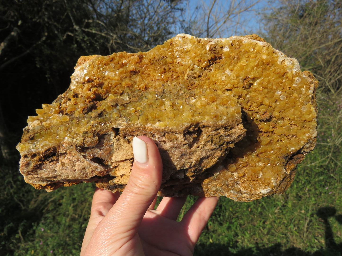 Wholesale limonite quartz Zambia – in-hand specimen showing golden druzy coverage, compact globular formations on matrix base, natural unpolished finish | SKU LIMkg