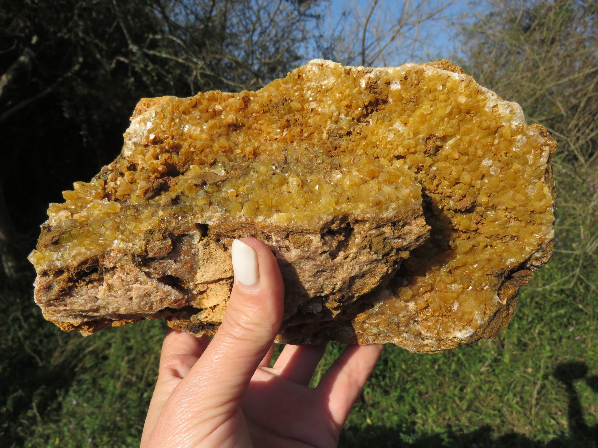 Wholesale limonite quartz Zambia – in-hand specimen showing golden druzy coverage, compact globular formations on matrix base, natural unpolished finish | SKU LIMkg