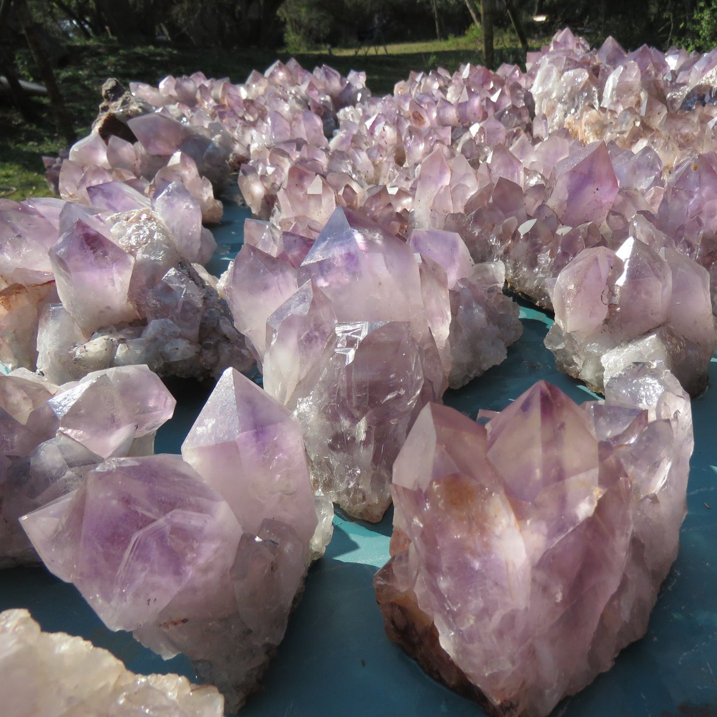 Wholesale Mumbwa amethyst Zambia – bulk lot spread showing full formation variety, mixed cluster sizes from small druzy plates to large specimens, light to mid violet | SKU MUMkg
