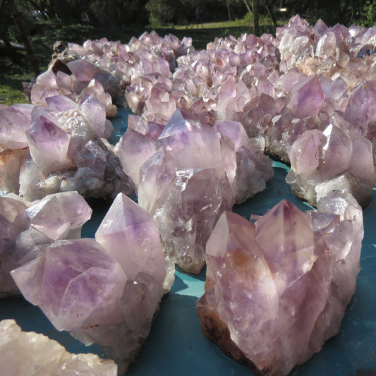 Wholesale Mumbwa amethyst Zambia – bulk lot spread showing full formation variety, mixed cluster sizes from small druzy plates to large specimens, light to mid violet | SKU MUMkg