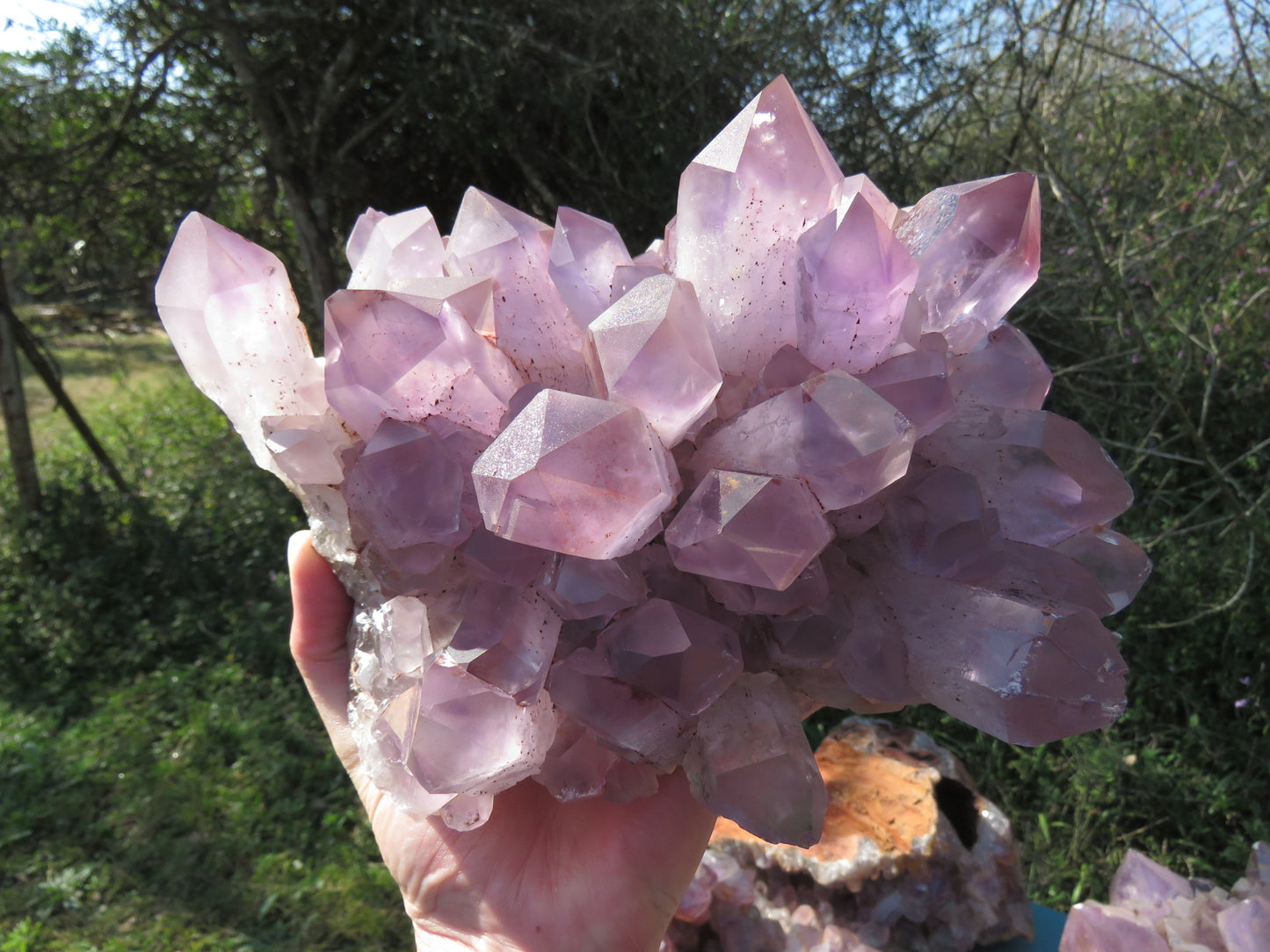 Wholesale Mumbwa amethyst Zambia – in-hand large cluster showing golden iron-stained base, large translucent amber-violet points, variable formation types | SKU MUMkg