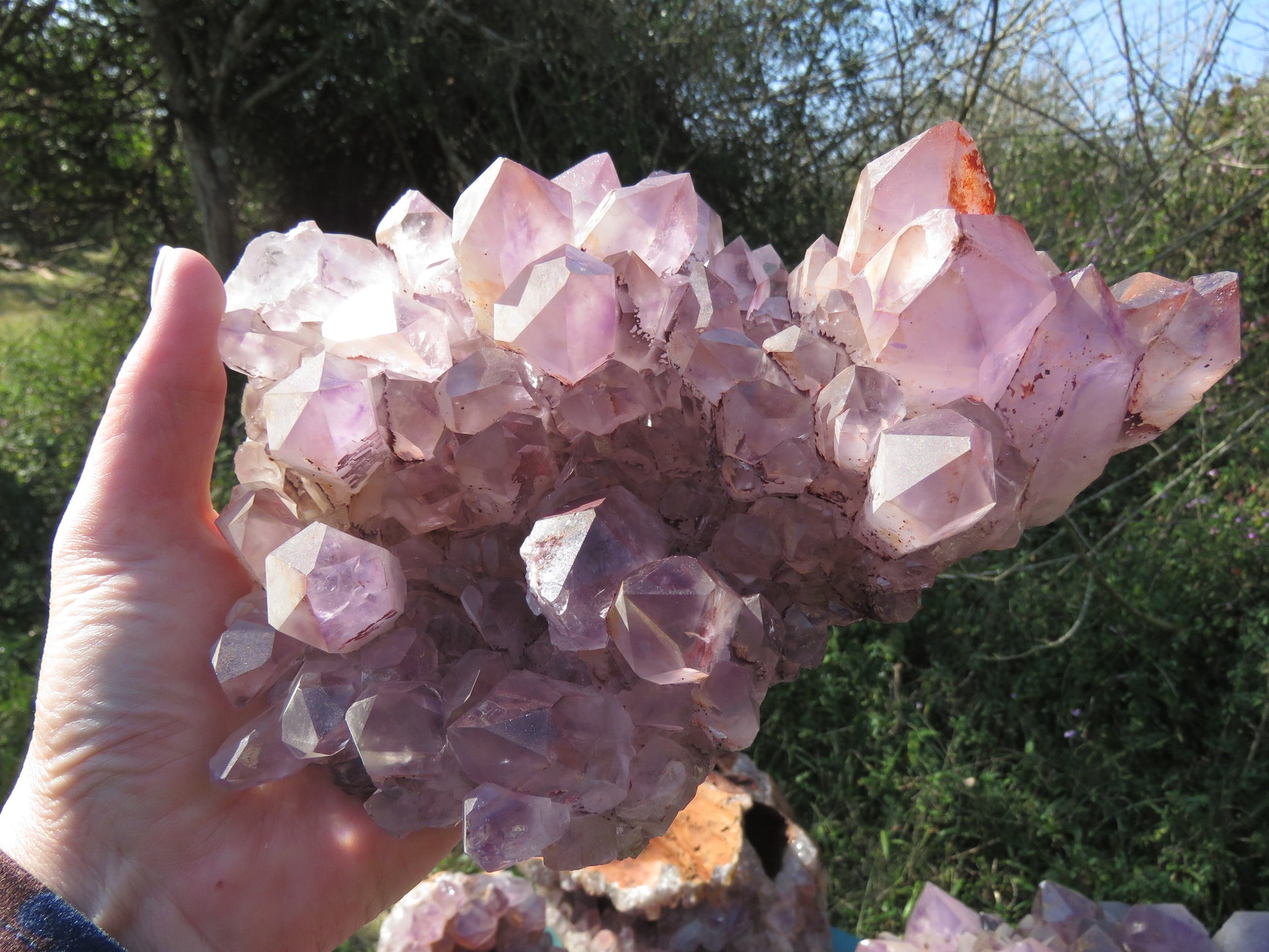 Wholesale Mumbwa amethyst Zambia – in-hand mid-size cluster showing dense compact point formation, soft pink-violet tones, natural unpolished finish | SKU MUMkg