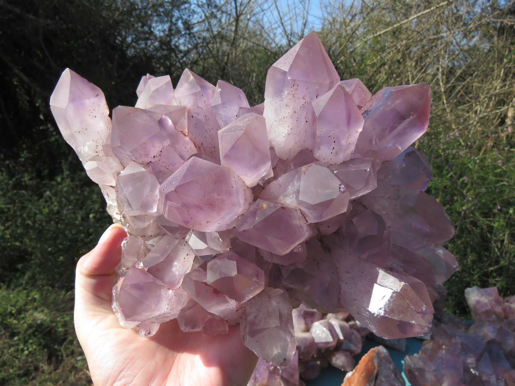 Wholesale Mumbwa amethyst Zambia – in-hand overhead view showing formation diversity, mixed violet tones, variable cluster types, natural unpolished condition | SKU MUMkg