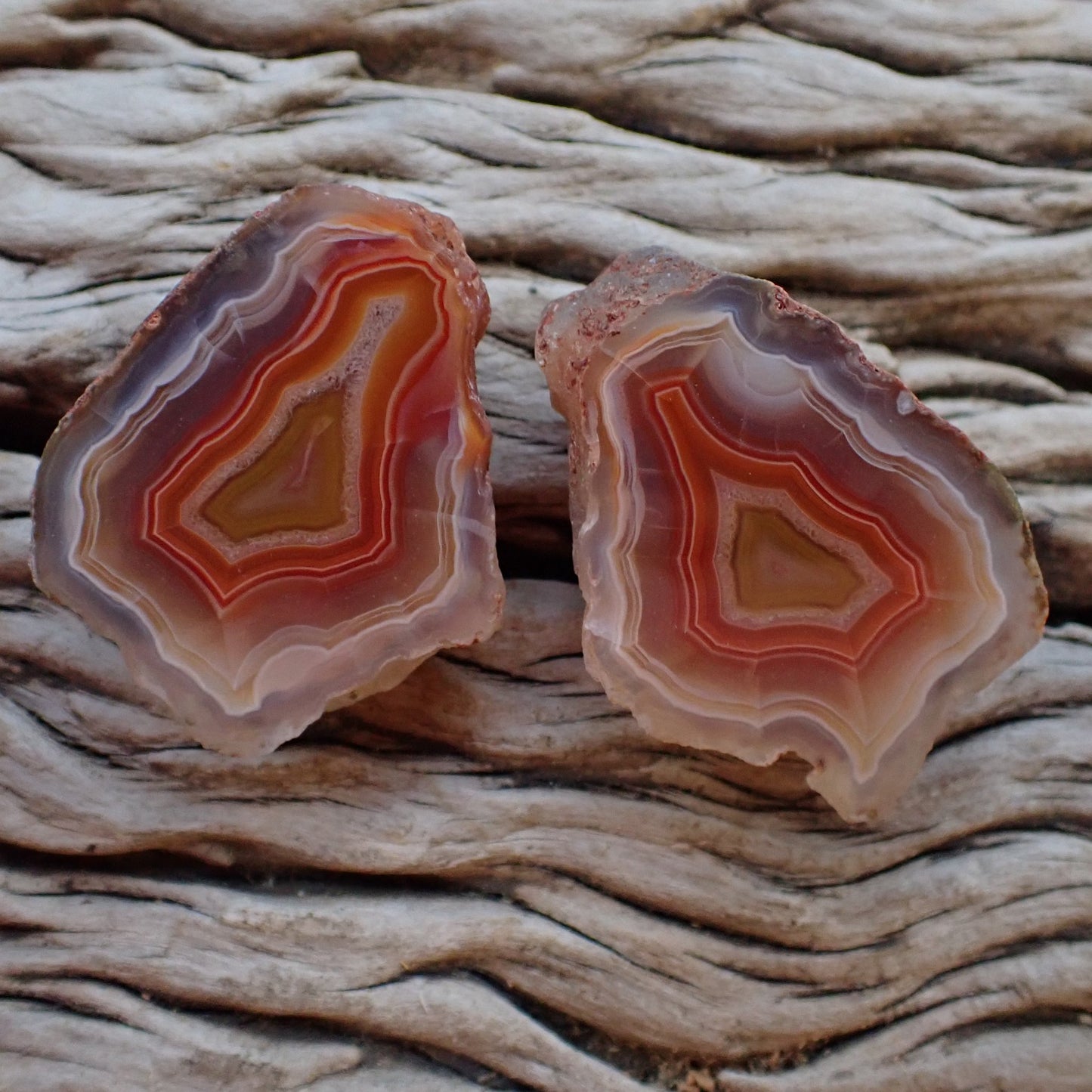 Matched Malawi agate pair 43 mm & 42 mm – both pieces, front faces, floaters, scalloped banding, carnelian-red tones, hand-polished in South Africa | SKU 000492