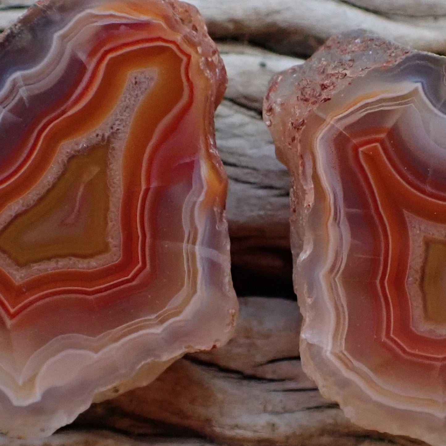 Matched Malawi agate pair 43 mm & 42 mm – face detail, lacy quartz floater rings, scalloped banding, mirrored banding structure, Ngabu Malawi | SKU 000492