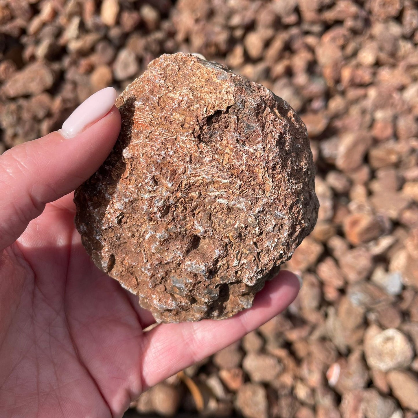Rough Malawi agate from ngabu region
